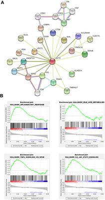 Identifying Biomarkers to Predict the Prognosis of Biliary Atresia by Weighted Gene Co-Expression Network Analysis